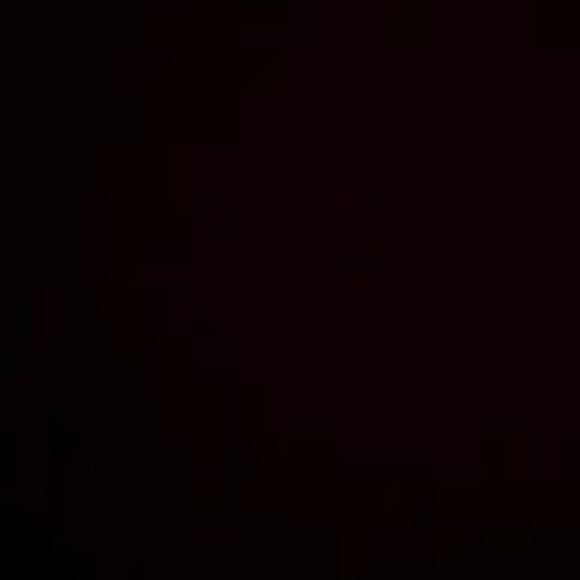 Meet your Posher, Elle - Picture 1 of 1